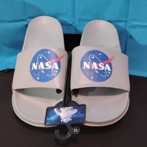 NASA Logo Slides in Gray